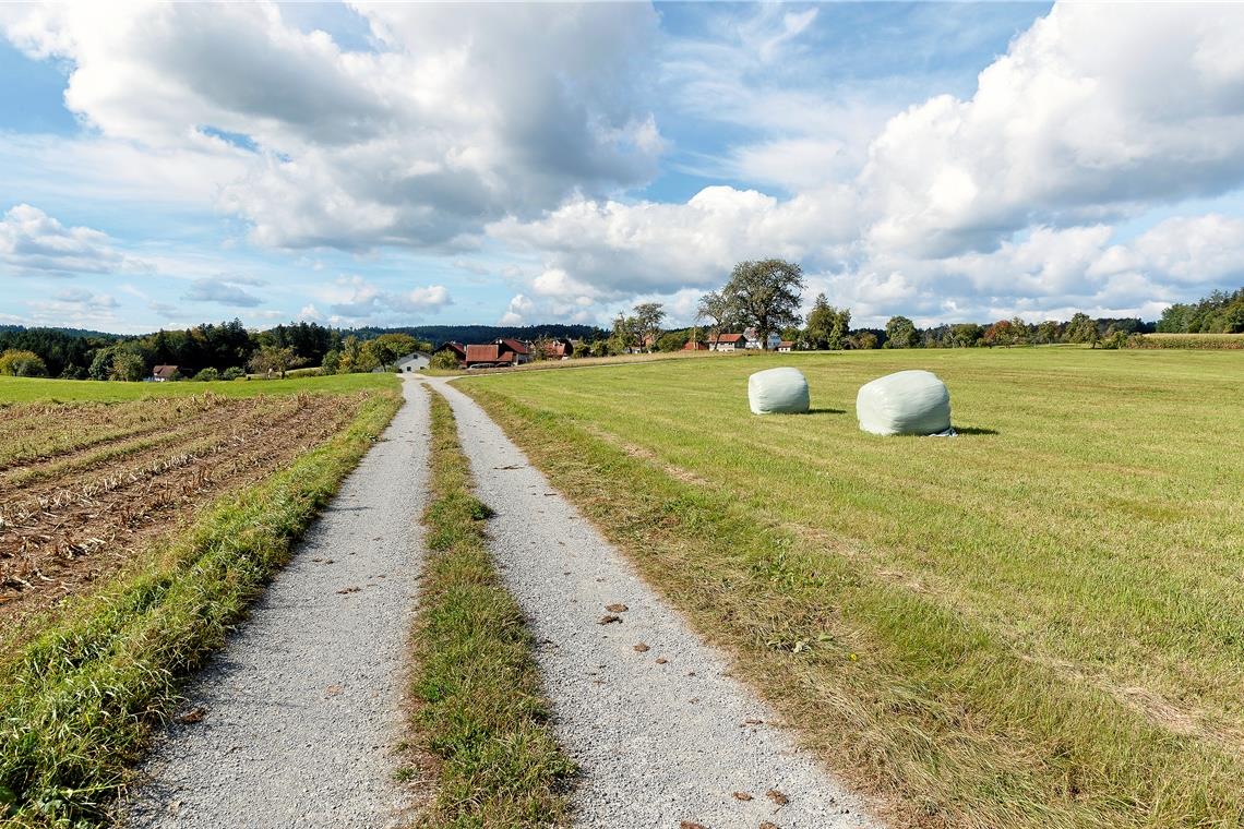Bei Käsbach gibt es einen Feldweg, der saniert werden soll. Mit rund 1,37 Kilometern ist er der längste Abschnitt auf der Liste.