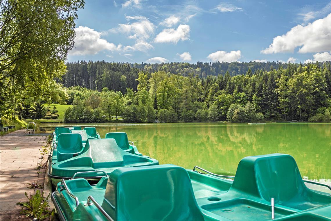 Gute Wasserqualität am Waldsee Fornsbach Die Untersuchung bescheinigt dem Waldsee ausgezeichnete Qualität. Archivfoto: Stefan Bossow