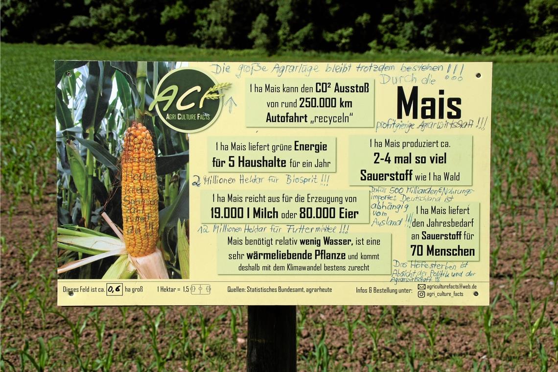 Landwirt wehrt sich gegen Anfeindungen Junglandwirt Dennis Bauer ist enttäuscht über die kommentierte Infotafel. Der Maisacker liegt an einem Weg zwischen Sulzbach an der Murr und Murrhardt, der viel von Radlern und Fußgängern genutzt wird. Fotos: U. Gruber