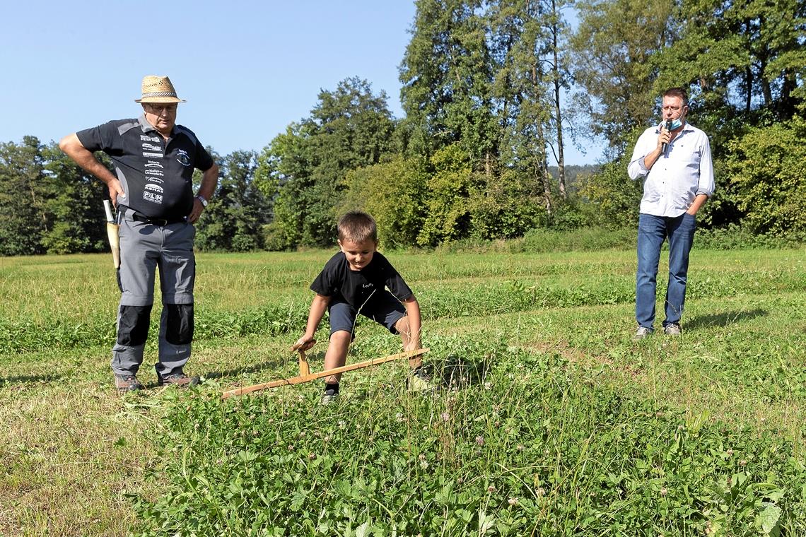 Mailo Rickert (vorne) hoch konzentriert an seiner kleinen Sense. Sein Großvater Gerhard Rickert (links) steht ihm zur Seite und Harald Traub, neuer Schiedsrichter, hat ein Auge auf die beiden. Foto: J. Fiedler.