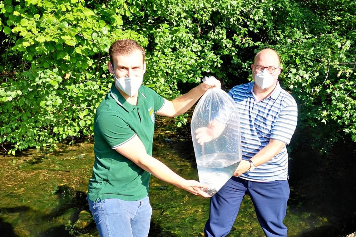 100 Murrforellen für den Fluss Tobias Gruber, Vorsitzender des Angelsportvereins Murrhardt, und Bürgermeister Armin Mößner (von links) sind als Umzugshelfer tätig. Foto: Stadtverwaltung