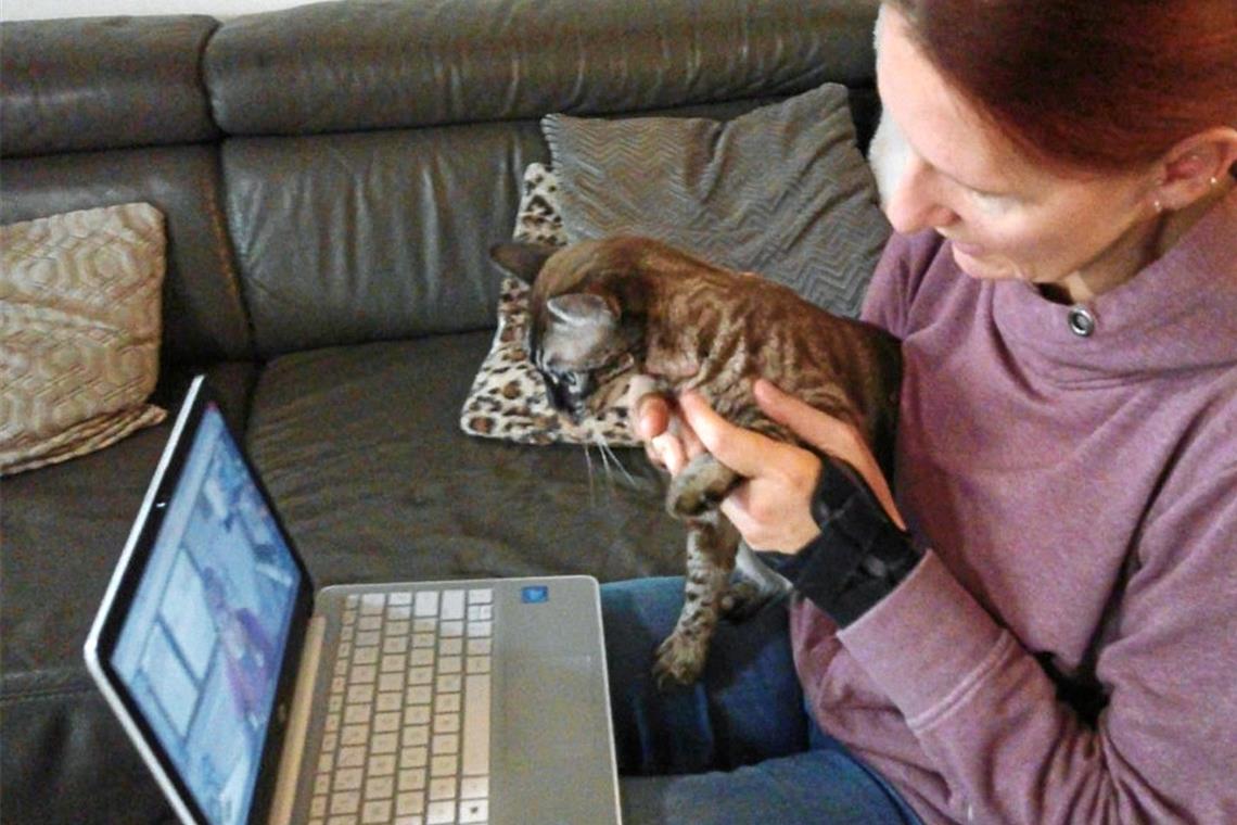 Telemedizin für Tiere: per Videoanruf zum Tierarzt Was fehlt der Katze? Durch die Videofunktion kann sich der Tierarzt ein Bild von dem Zustand des Tieres machen. Foto: privat