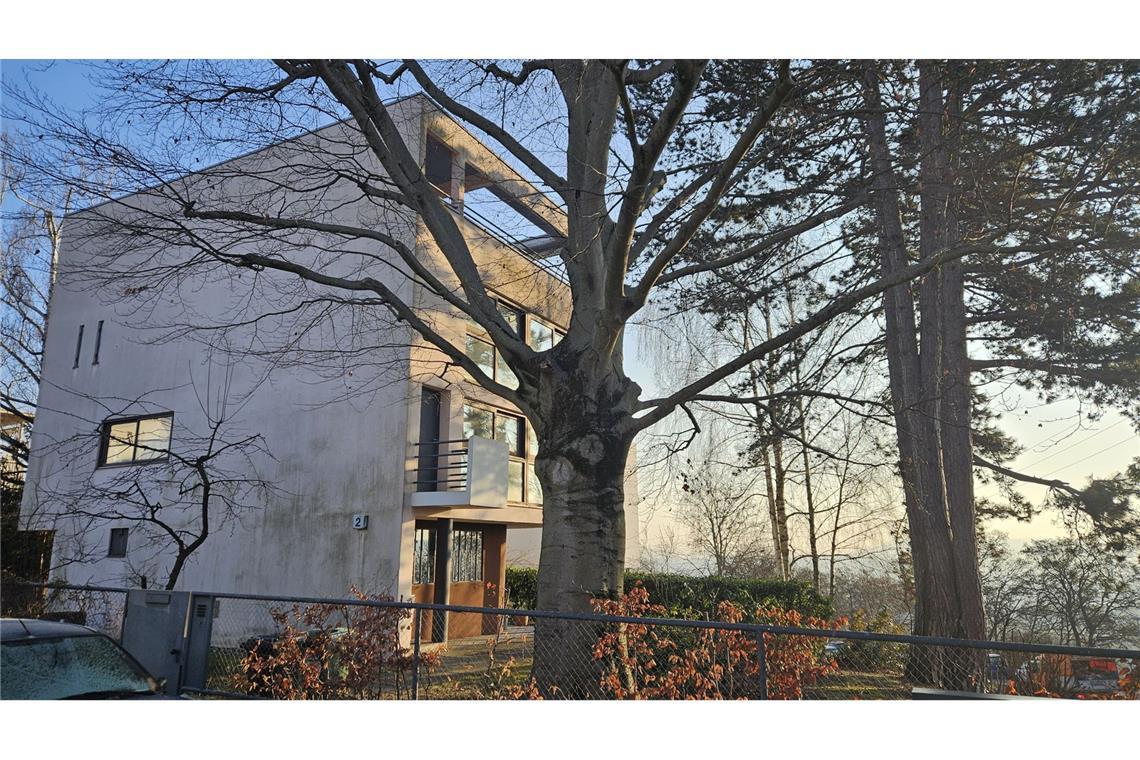 Endlich – freie Sicht auf Le Corbusiers Einfamilienhaus . . . ein freierer Blick auf das Gebäude Haus 13 mit seinen 120 Quadratmetern Wohnfläche von Le Corbusier und Pierre Jeanneret möglich.