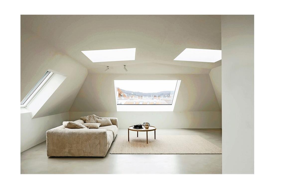 5 der besten umgebauten Villen und Wohnungen in Stuttgart . . . größere Wohnung mit Aussicht auf die Karlshöhe wird jetzt von einem der Bauherren bewohnt.