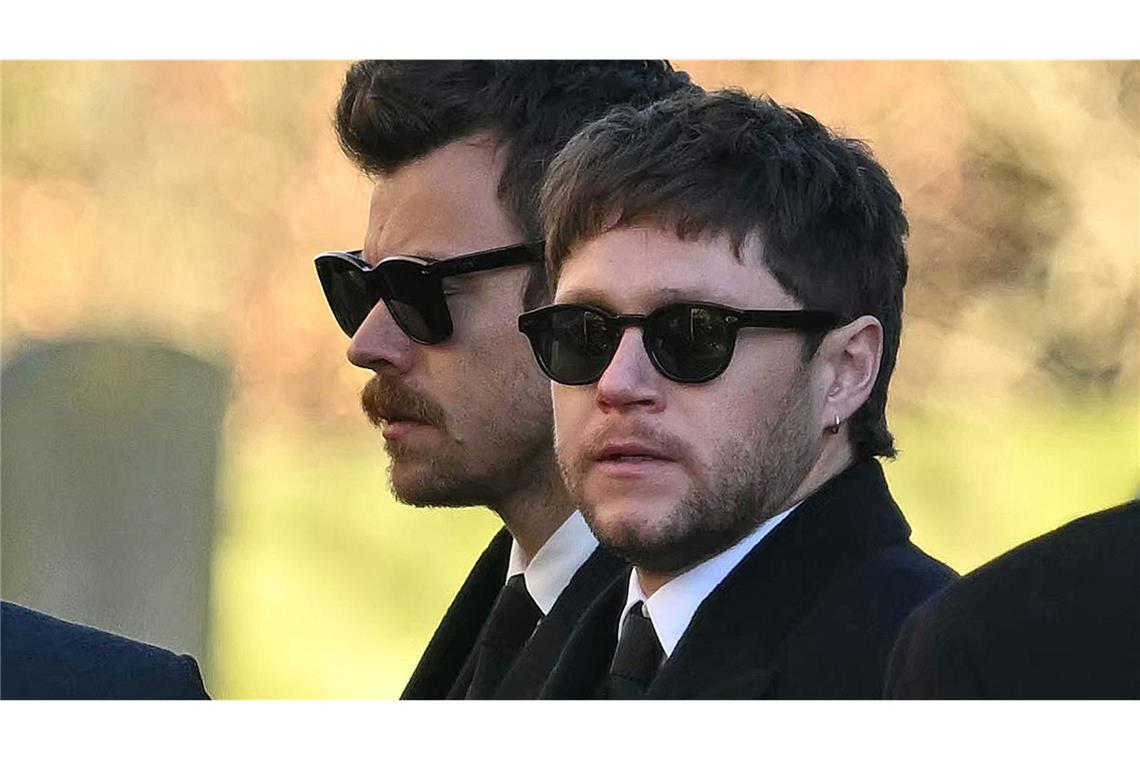 One-Direction-Stars trauern um ihren ehemaligen Bandkollegen ... und Niall Horan (rechts).