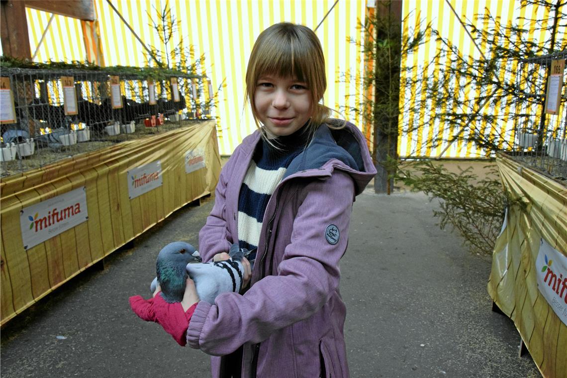 Hervorragende Zuchttiere hoch bewertet ... wie Juliane Schünzel, hier mit einer Niederländischen Schönheitsbrieftaube. Fotos: Elisabeth Klaper