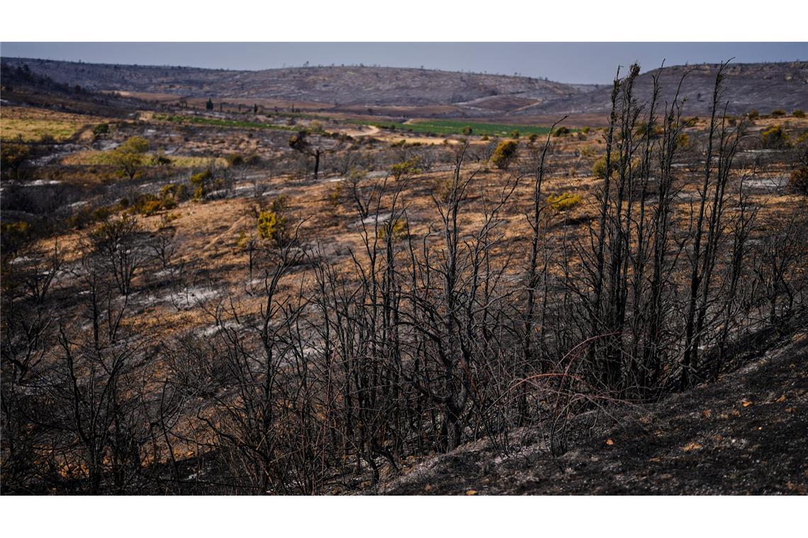 16.000 Hektar Fläche wurden von dem Waldbrand in Südfrankreich in Mitleidenschaft gezogen.