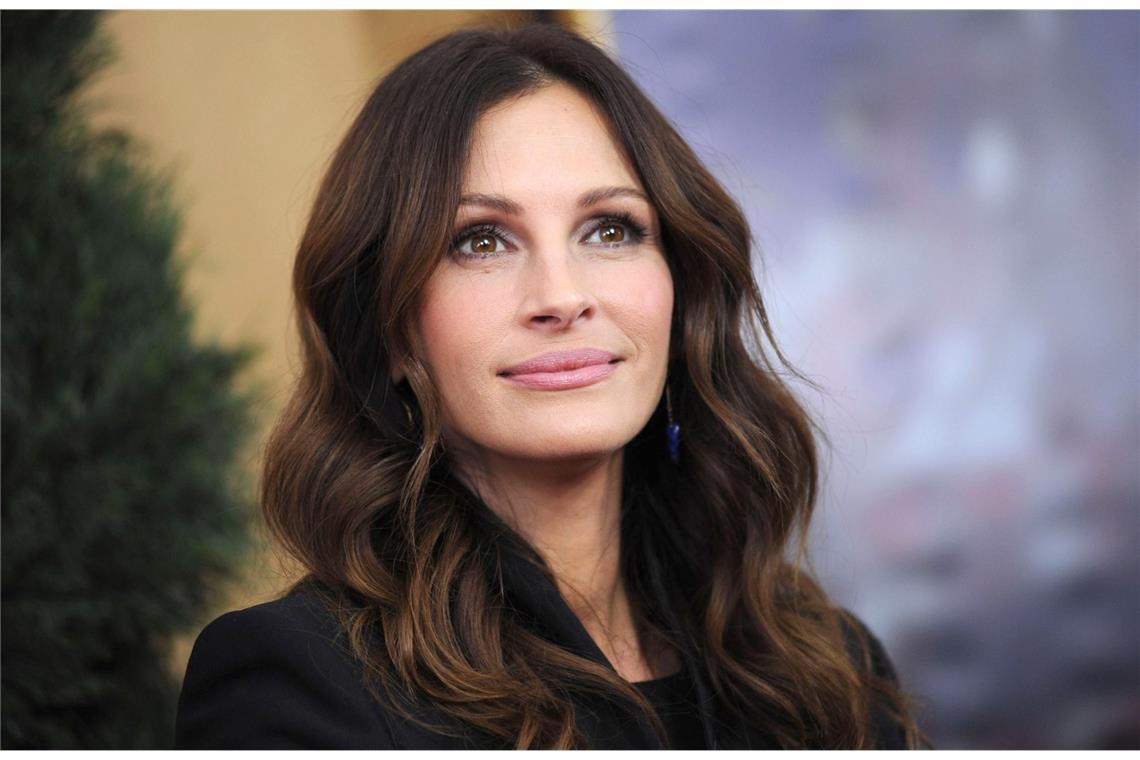 Neuer Film mit Julia Roberts: So hat sich die Hollywood-Ikone verändert 2010: Mit dem Film "Eat Pray Love" gelingt Julia Roberts ein weiterer großer Hit.