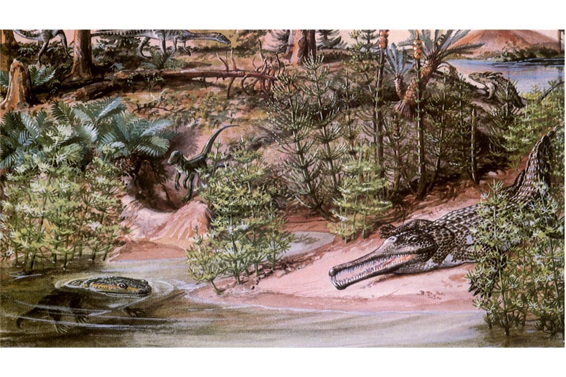 Forscher entdecken Urzeit-Friedhof riesiger Amphibien 230 Millionen Jahre alt: Metoposauridae (links unten) konnten so groß wie moderne Alligatoren werden und zeichneten sich durch annähernd dreieckige flache Köpfe mit an deren Oberseite liegenden Augen aus.