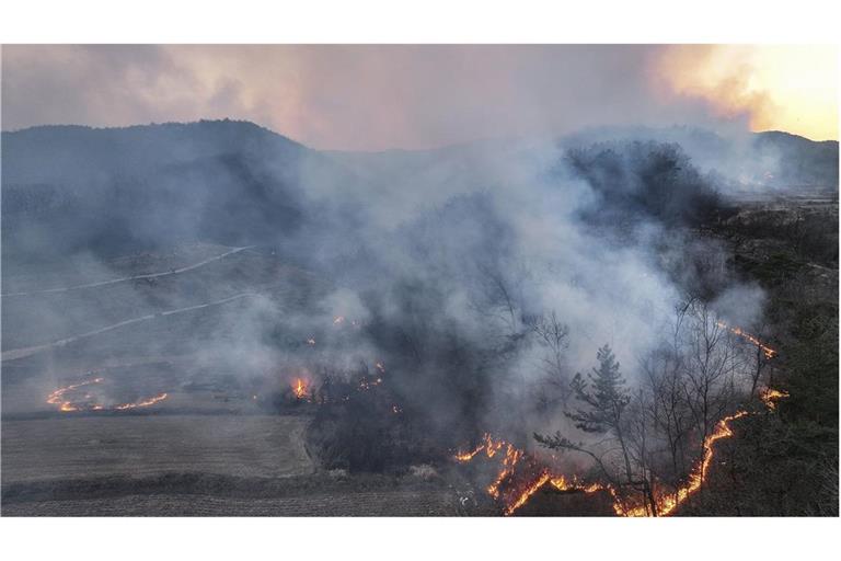 28 Menschen starben bei den Waldbränden in Südkorea.