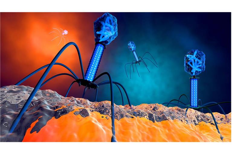 3-D-Illustration eines Bakteriophagen-Virus.
