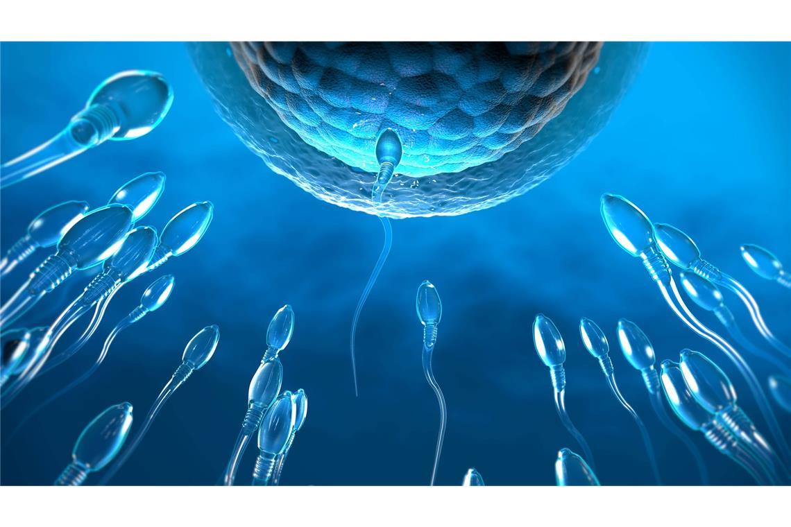 3d-Illustration von transparenten Spermien, die auf eine Eizelle zuschwimmen.