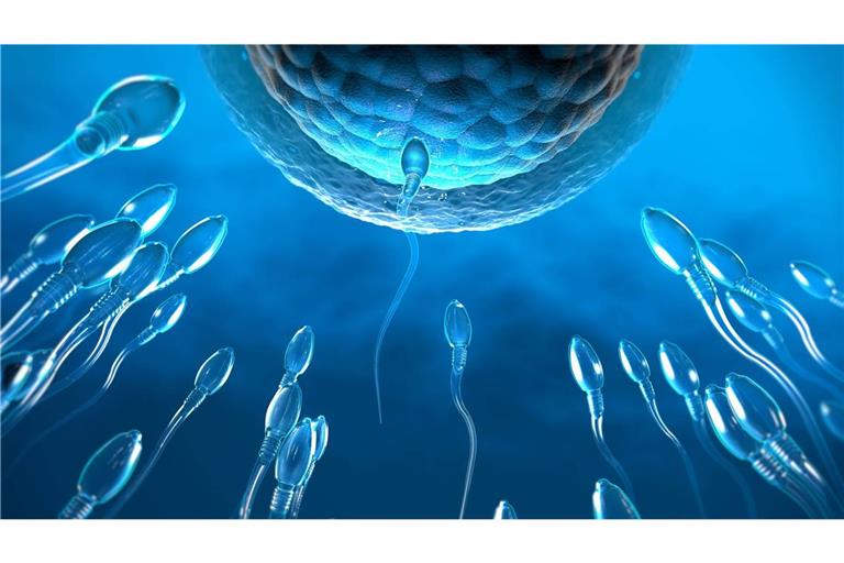 3d-Illustration von transparenten Spermien, die auf eine Eizelle zuschwimmen.