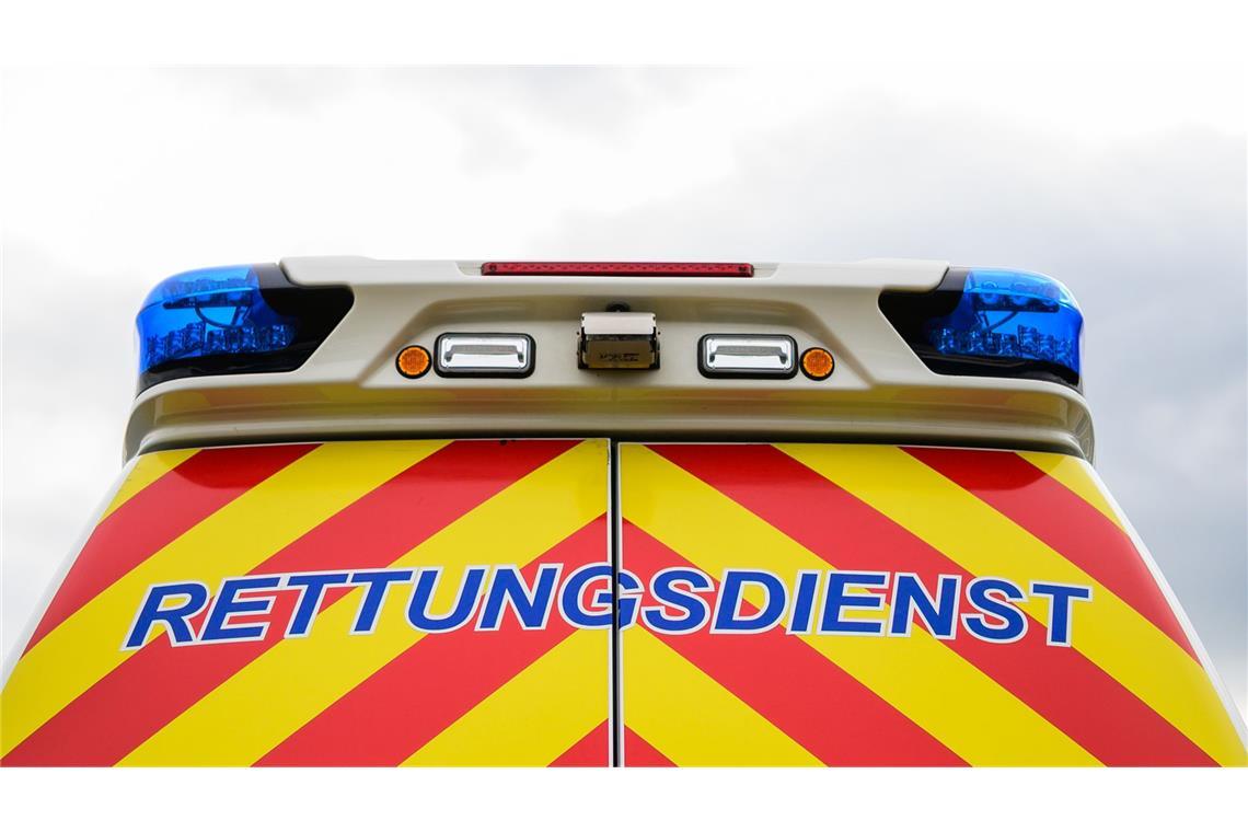 66 Kinder wurden bei dem Bremsmanöver leicht verletzt. (Symbolbild)