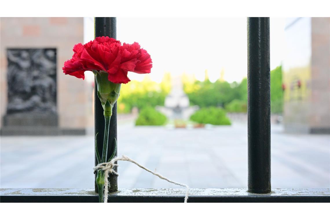 Bilder des Tages 80. Jahrestag Ende Zweiter Weltkrieg – Berlin: Eine Blume hängt Zaun vor dem sowjetischen Ehrenmahl in der Schönholzer Heide.