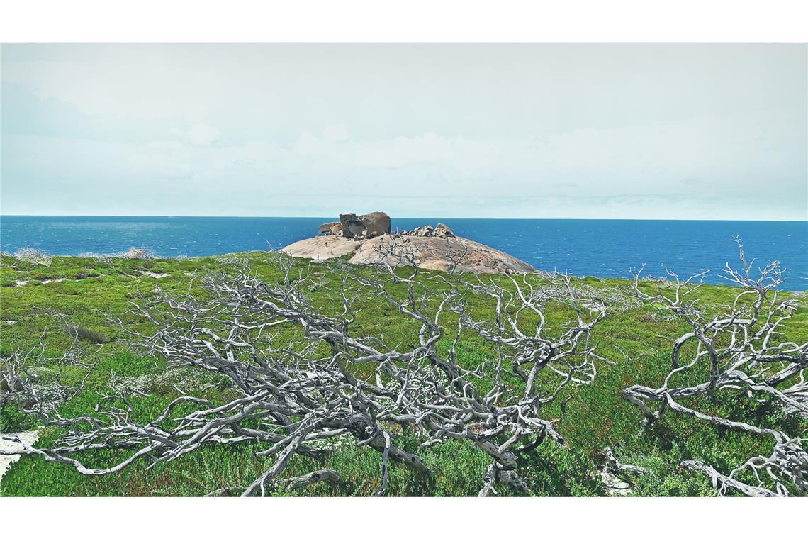 Die Insel der Tiere kehrt ins Leben zurück Abgestorbene Bäume und grüne Vegetation vor den Remarkable Rocks: Langsam erholt sich Kangaroo Island wieder. WEITERE BILDER IM STEHSATZORDNER; AUCH KOALAS UND KÄNGURUS