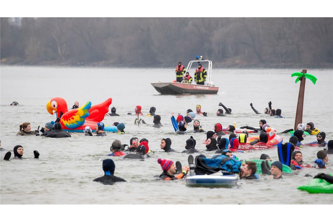 Bilder des Tages Abschwimmen im Rhein.