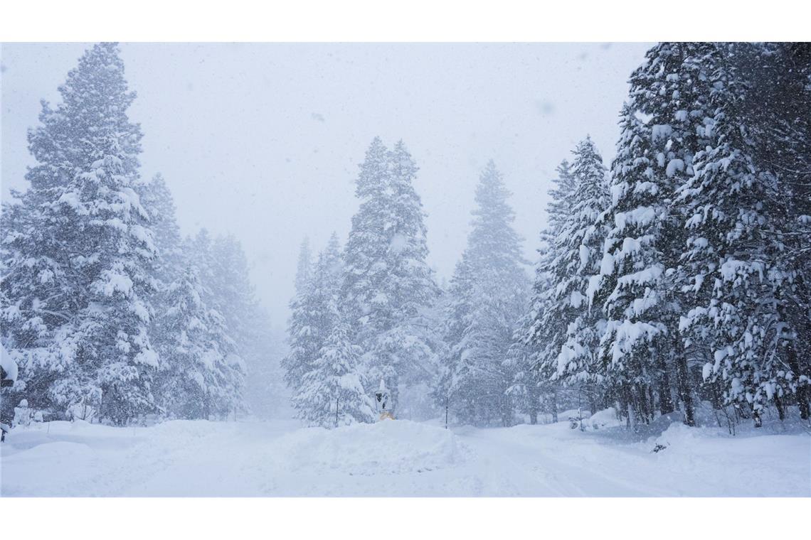 Acht zuvor vermisste Skifahrer sind nach dem Lawinenabgang tot gefunden worden - hieß es von den örtlichen Behörden.