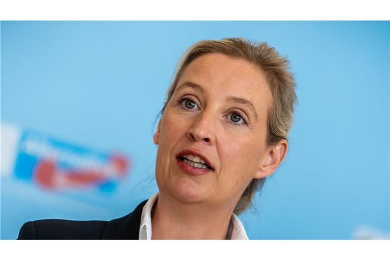 AfD-Bundes- und Fraktionsvorsitzende Alice Weidel