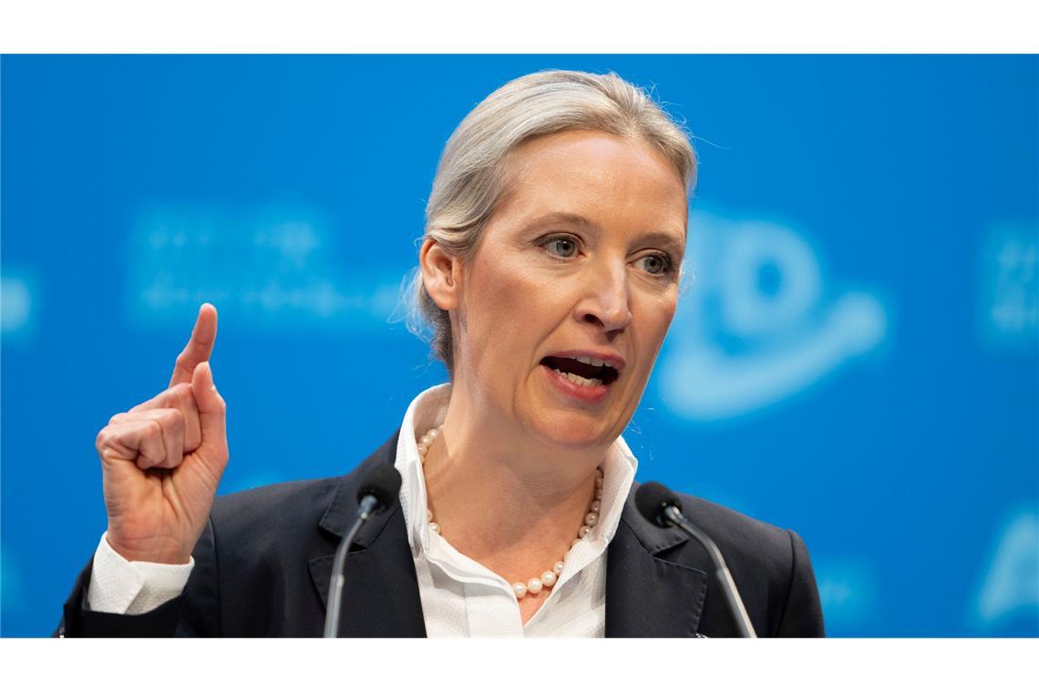 AfD-Chefin Alice Weidel beim Parteitag im Januar 2025 in Riesa: "Dann heißt es eben Remigration" (Archivbild)