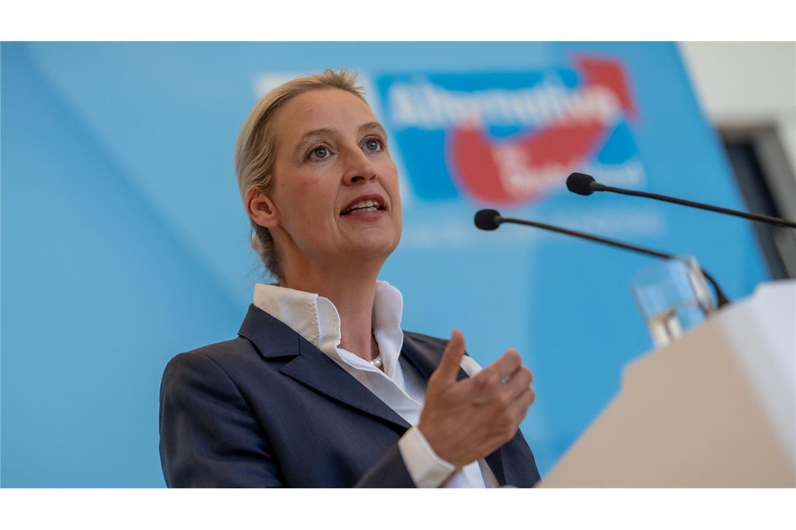 AfD-Chefin Alice Weidel bemängelt, die Empfehlungen der Rentenkommission seien nicht ausreichend.