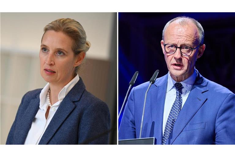 AfD-Chefin Weidel und Bundeskanzler Friedrich Merz (CDU). (Archivbild)