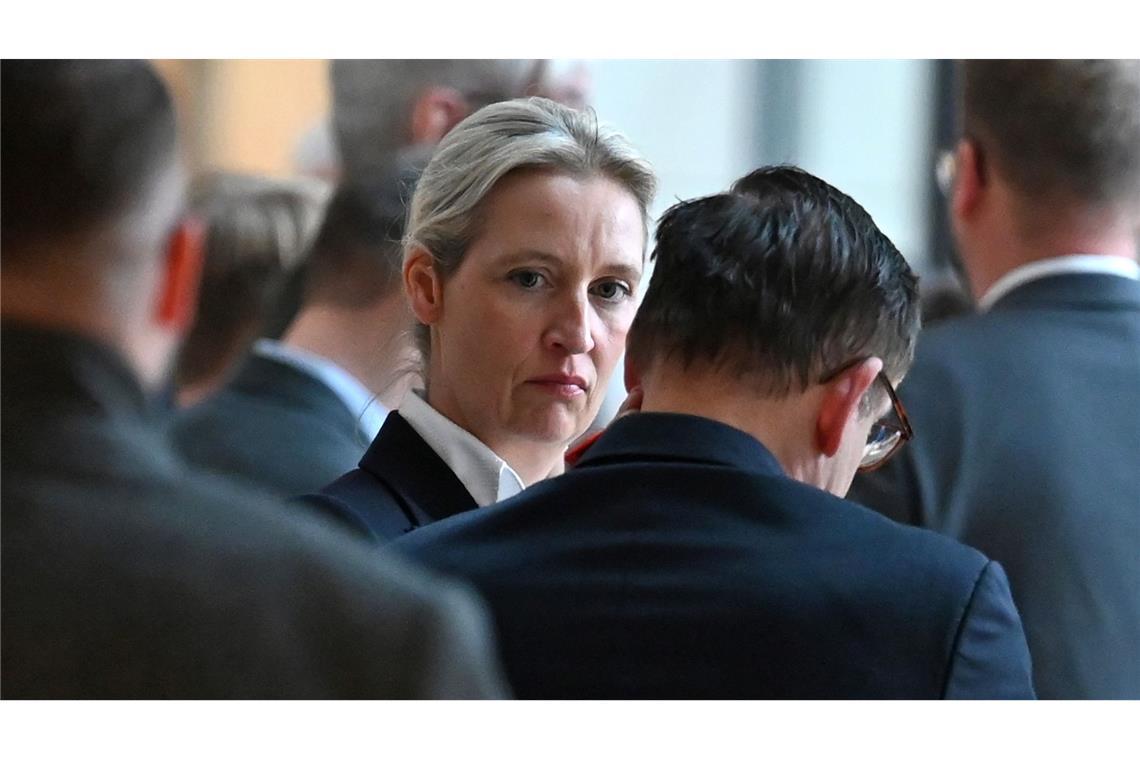 AfD-Chefin Weidel warnt vor Gewalt gegen AfD-Mitglieder.