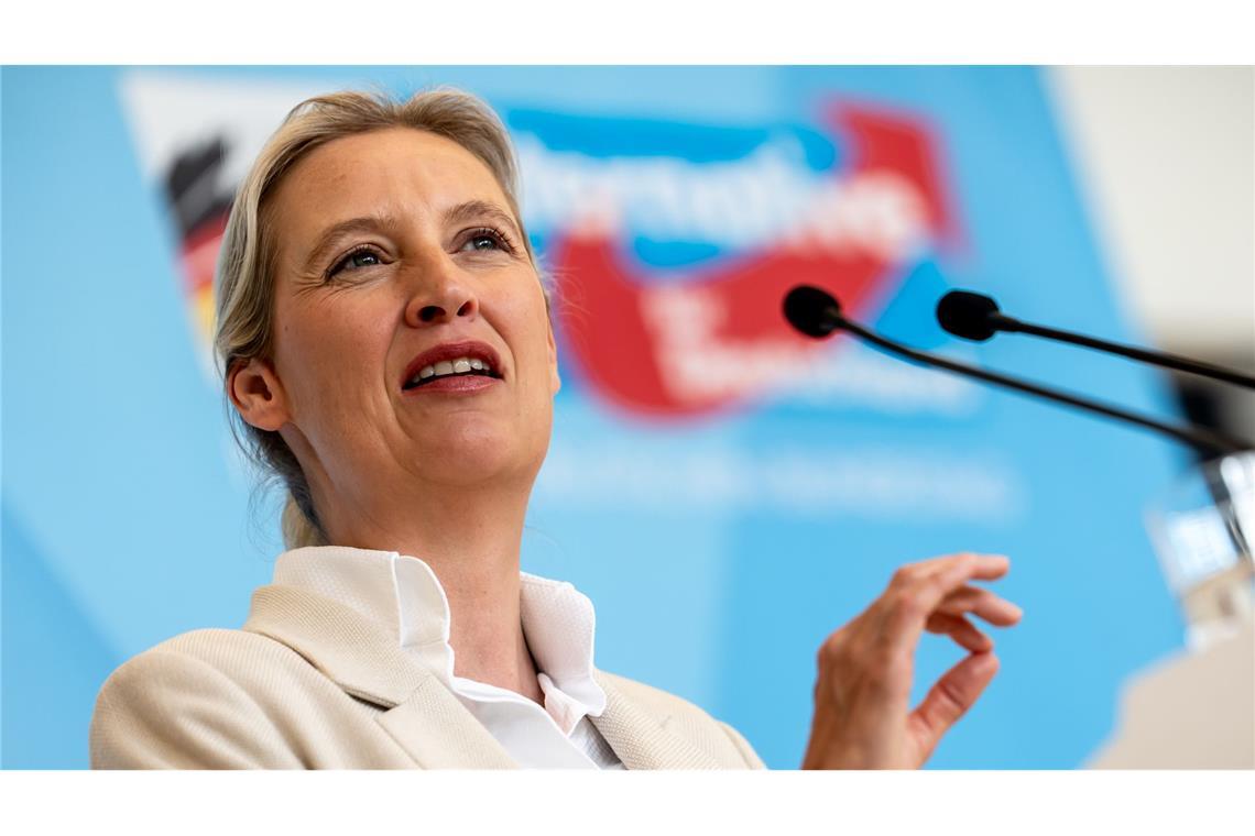 AfD-Chefin Weidel will mit einem Wahlsieg ihrer Partei bei den Landtagswahlen auch die Bundesregierung unter Druck setzen. (Archivbild)