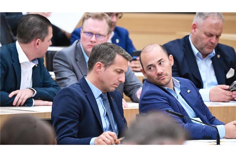AfD-Fraktion im Landtag - sie erhielt bei einer Reihe von Wahlen mehr Stimmen, als sie Sitze hat. Wer trägt dafür die Verantwortung?