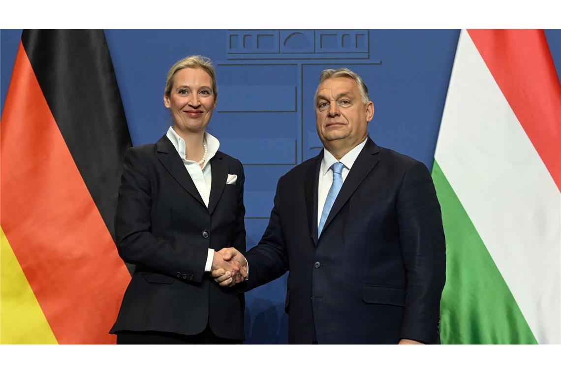 AfD-Parteichefin Alice Weidel pflegte ein enges Verhältnis mit Ungarns jetzt abgewähltem Regierungschef Viktor Orban. (Archivbild)