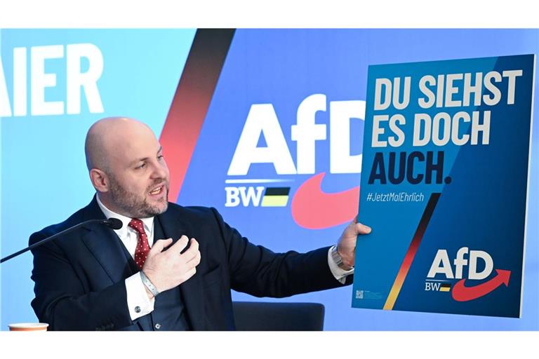 AfD-Spitzenkandidat Frohnmaier (Archivbild).