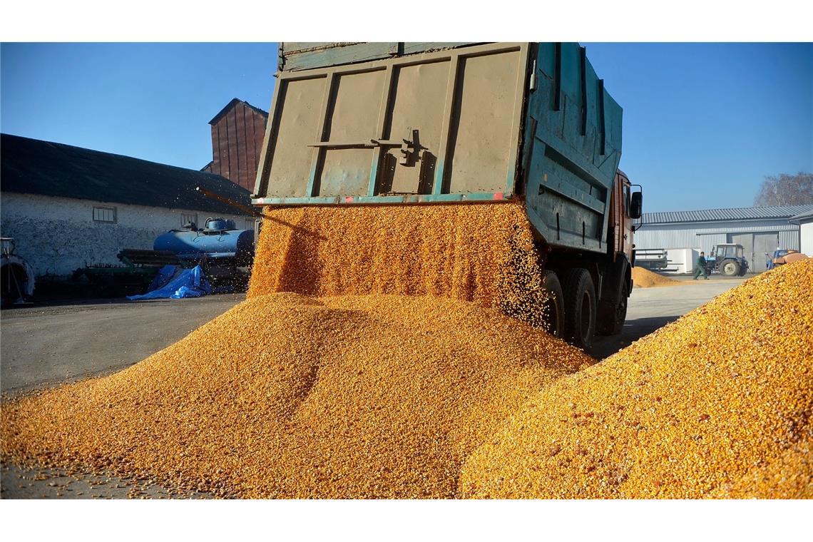 EU lässt Handelserleichterungen für die Ukraine auslaufen Agrarexporte der Ukraine haben für Unmut bei Bauern in der EU gesorgt. (Archivbild)