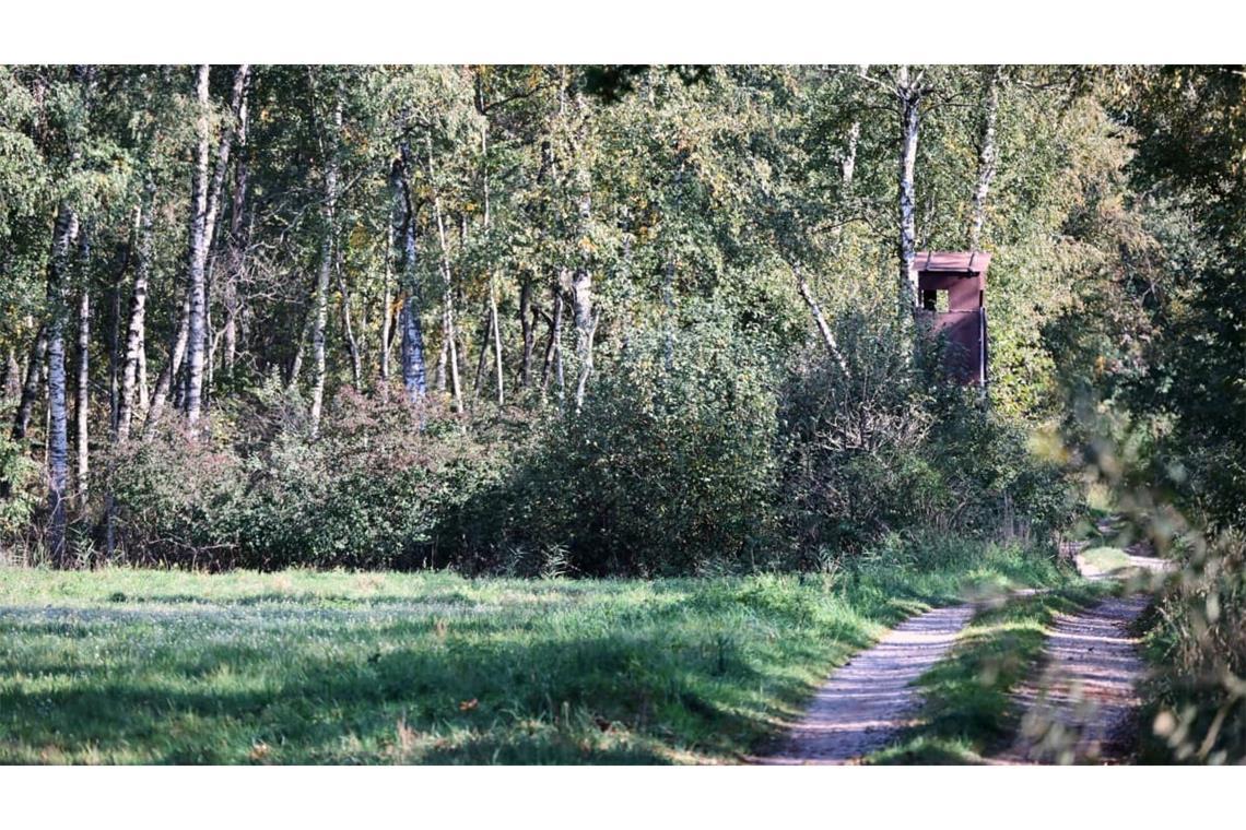 Agrarflächen, Wald und ein Hochstand sind im Notzingermoos südlich vom Flughafen München zu sehen. In der unmittelbaren Nähe soll ein freilaufender Puma gesichtet worden sein.