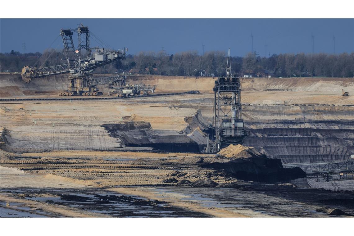 Aktuell erwähnen weniger als ein Prozent der börsennotierten Unternehmen in ihren Berichten ihre Auswirkungen auf die Biodiversität, hieß es.