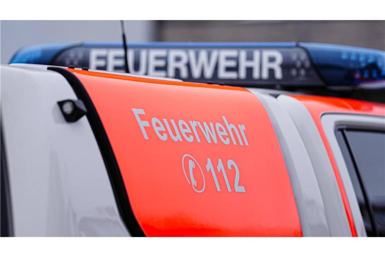 Alarm in einem Einkaufscenter in Weil am Rhein: Die Polizei geht davon aus, dass jemand den Alarm absichtlich ausgelöst hat (Symbolfoto).