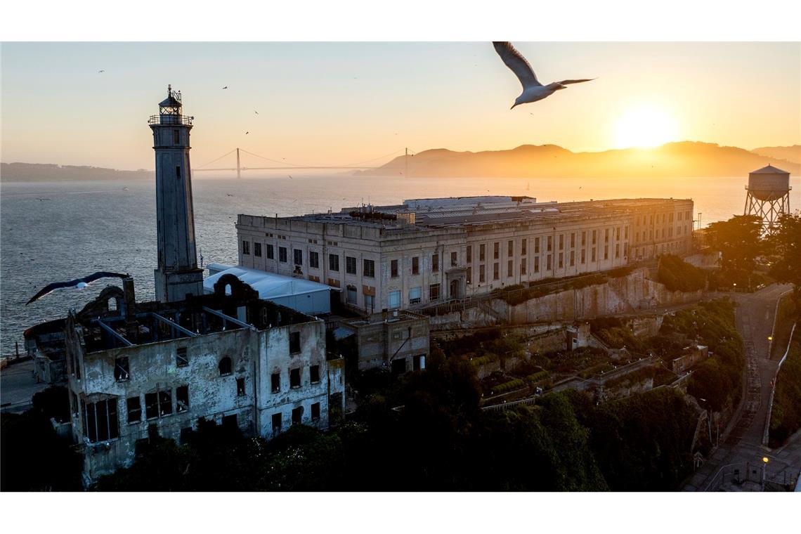 Bilder des Tages Alcatraz-Gefängnis: Ein Vogel fliegt über Alcatraz Island in der Bucht von San Francisco. US-Präsident Trump will das berüchtigte Gefängnis Alcatraz wieder in Betrieb nehmen und dort künftig Schwerverbrecher unterbringen.