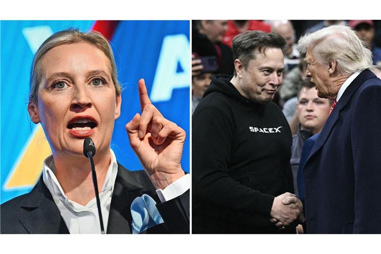 Alice Weidel ist traurig über den Streit zwischen Musk und Trump. (Archivbilder)