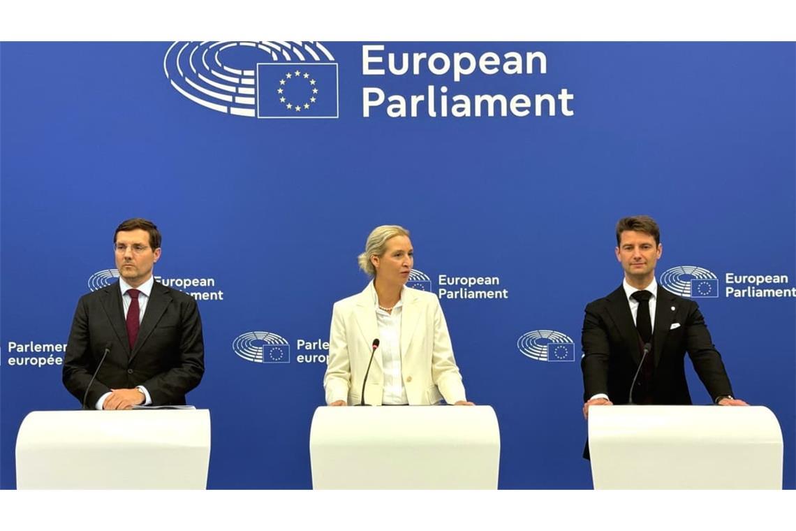 Alice Weidel (M,), Co-Bundesvorsitzende der AfD, und die AfD-Europa-Abgeordneten René Aust (r) und Alexander Sell während einer Pressekonferenz. Weidel hat in Straßburg für eine weitreichende Reform der Europäischen Union gefordert (Archivfoto).