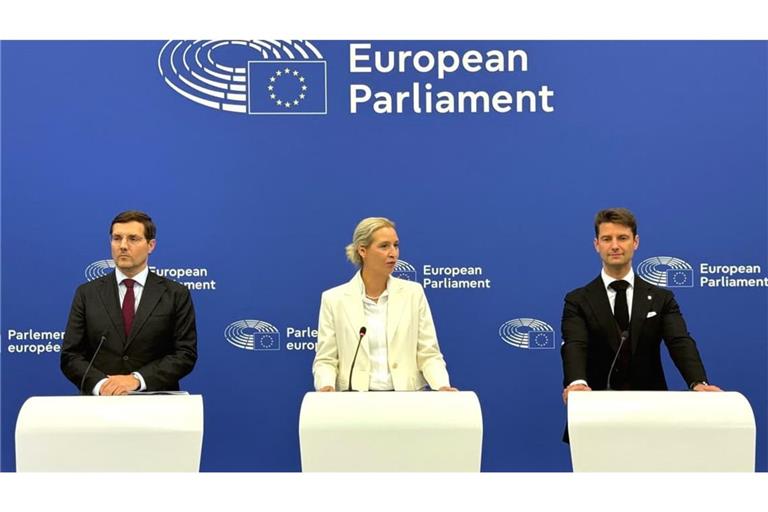 Alice Weidel (M,), Co-Bundesvorsitzende der AfD, und die AfD-Europa-Abgeordneten René Aust (r) und Alexander Sell während einer Pressekonferenz. Weidel hat in Straßburg für eine weitreichende Reform der Europäischen Union gefordert (Archivfoto).