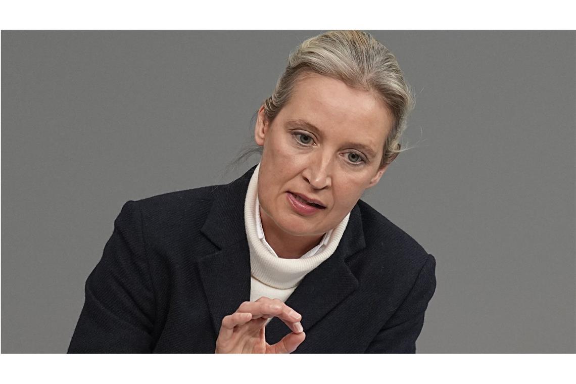AfD-Chefin Alice Weidel reist zu Viktor Orban Alice Weidel schwärmt für den ungarischen Ministerpräsidenten Viktor Orban. (Archivbild)