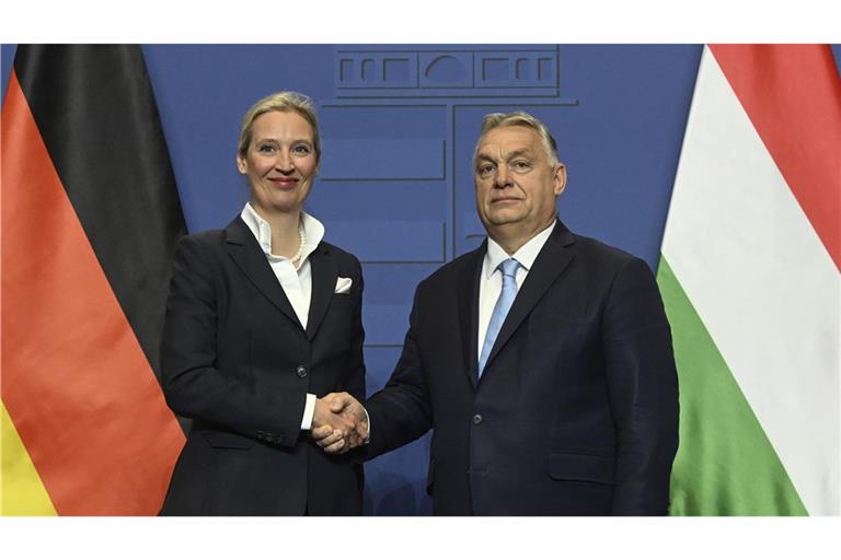 Alice Weidel und Viktor Orban schütteln sich die Hände nach einer Pressekonferenz in Budapest im Februar 2025. (Archivfoto)
