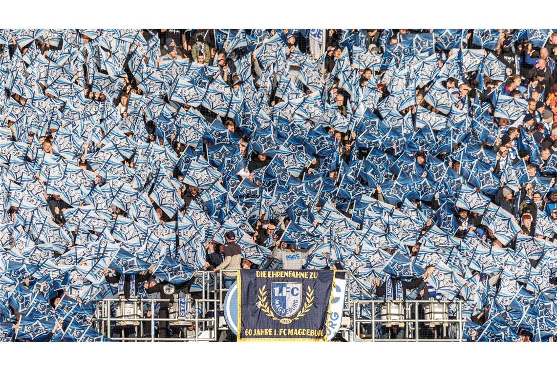 Alles weiß und blau. Fans vom 1. FC Magdeburg feuern ihr Team mit Fahnen beim Spiel gegen Holstein Kiel an.