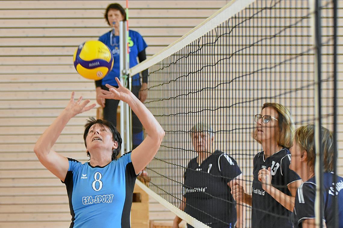 TSG Backnang Volleyball: Birgit Sterzel ist in vierfacher Funktion aktiv Als Spielerin hat Birgit Sterzel (links) mit den Ü-59-Frauen der TSG Backnang den zweiten Platz belegt. Fotos: Tobias Sellmaier