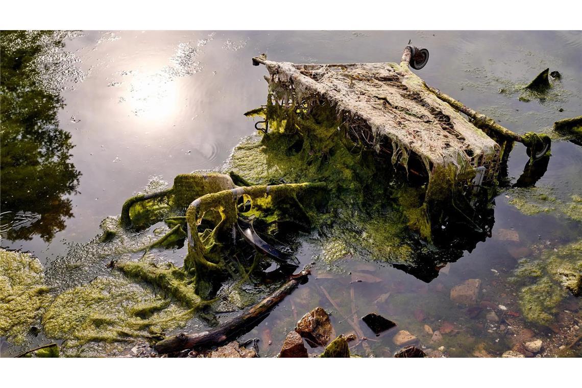 Alter Einkaufswagen im Rhein: Laut einer neuen Studie findet sich im größten deutschen Fluss deutlich mehr Müll als erwartet.