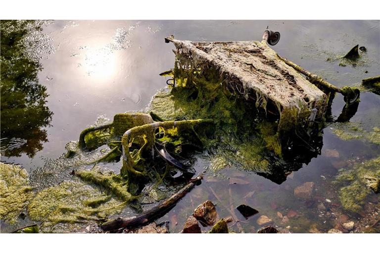 Alter Einkaufswagen im Rhein: Laut einer neuen Studie findet sich im größten deutschen Fluss deutlich mehr Müll als erwartet.