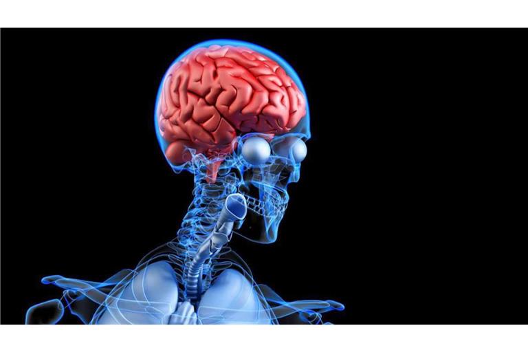 Alzheimer-Demenz ist bisher unheilbar. Mit Medikamenten kann die Krankheit kaum behandelt werden. Wissenschaft und Industrie forschen mit großem Aufwand, um endlich einen Durchbruch zu erreichen.