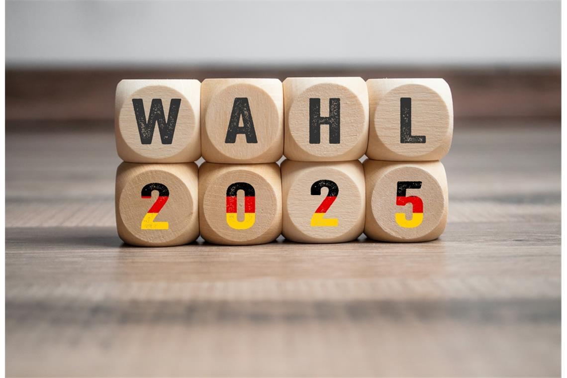 Wie wähle ich bei der Bundestagswahl 2025? Am 23. Februar wählt Deutschland einen neuen Bundestag.
