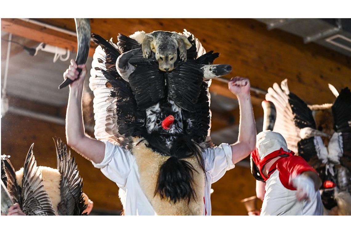 Ermittlungen zu Klaasohm-Fest auf Borkum eingestellt Am Abend zum 6. Dezember verkleiden sich junge, unverheiratete Männer mit Masken, Schafsfellen und Vogelfedern als sogenannte Klaasohms (Archivbild).