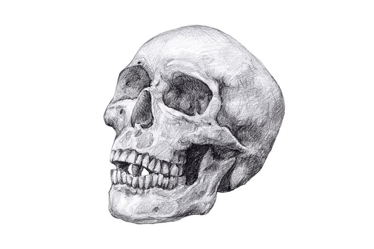 Am archäologischen Fundplatz Vráble Vel’ke-Lehemby in der Slowakei sind Dutzende Skelette ohne Kopf gefunden worden. Wo befinden sich die Köpfe?
