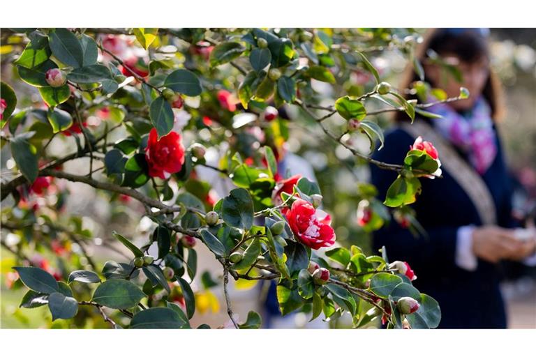 Am Dienstag sind vereinzelte Schauer und Gewitter "ganz zur Freude der langsam aufblühenden Natur" möglich, so Meteorologe Bauer.